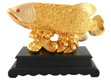 product photography in varanasi (6) Image of product photography in Varanasi (6)